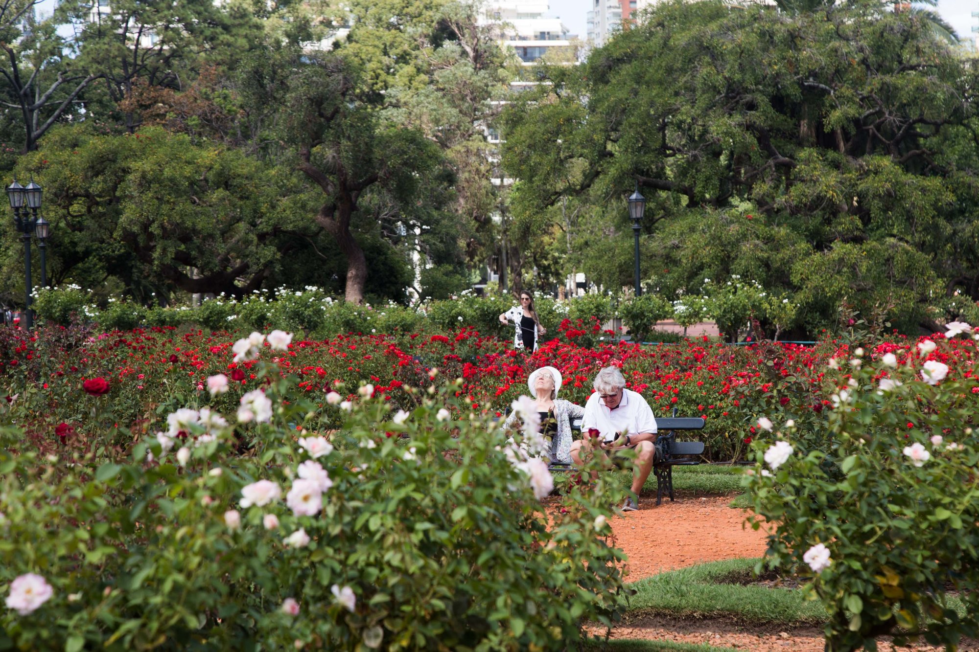 Pareja sentada en el Rosedal de Palermo