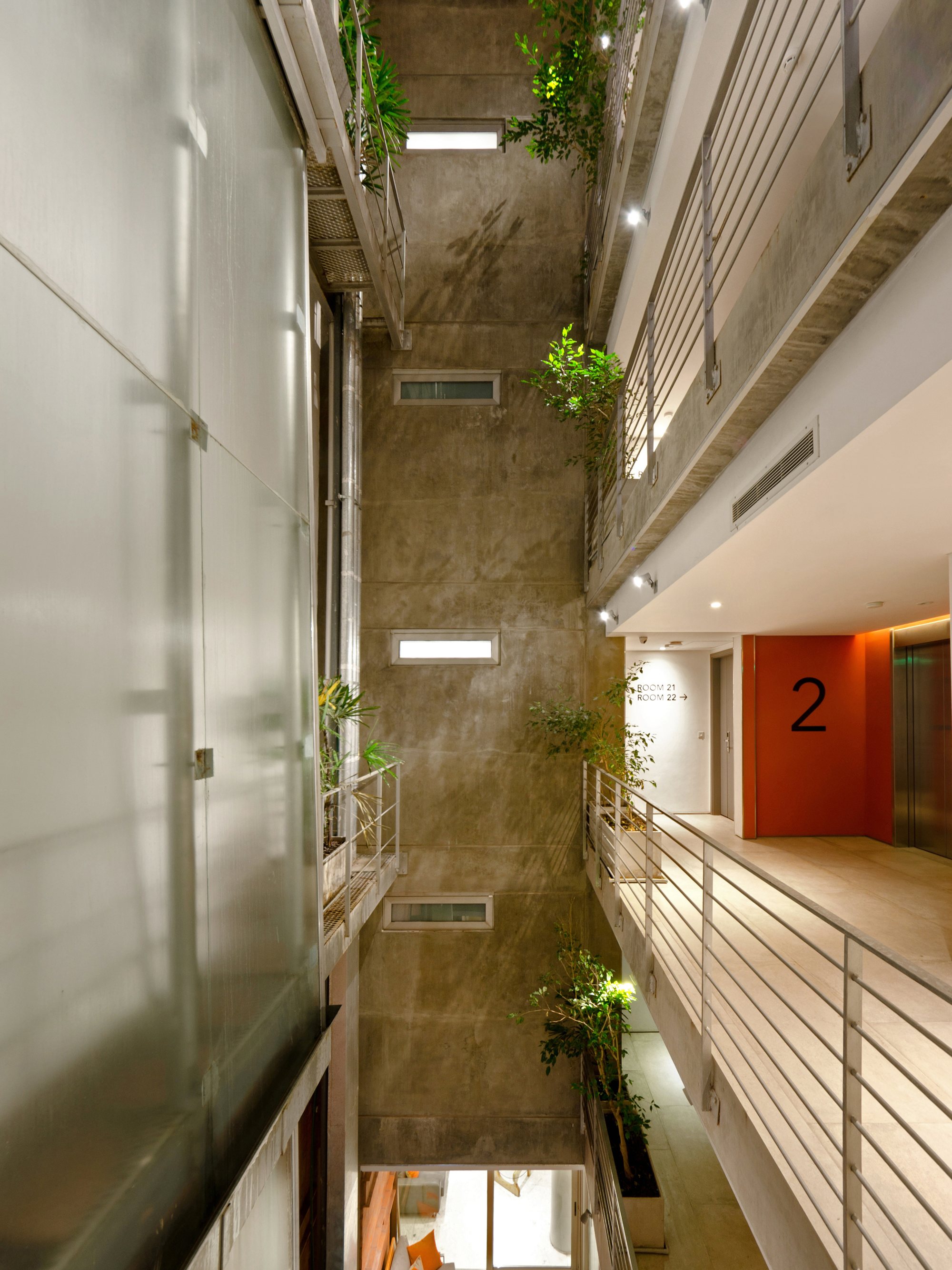 Pasillos de Palo Santo con arquitectura moderna y luz natural