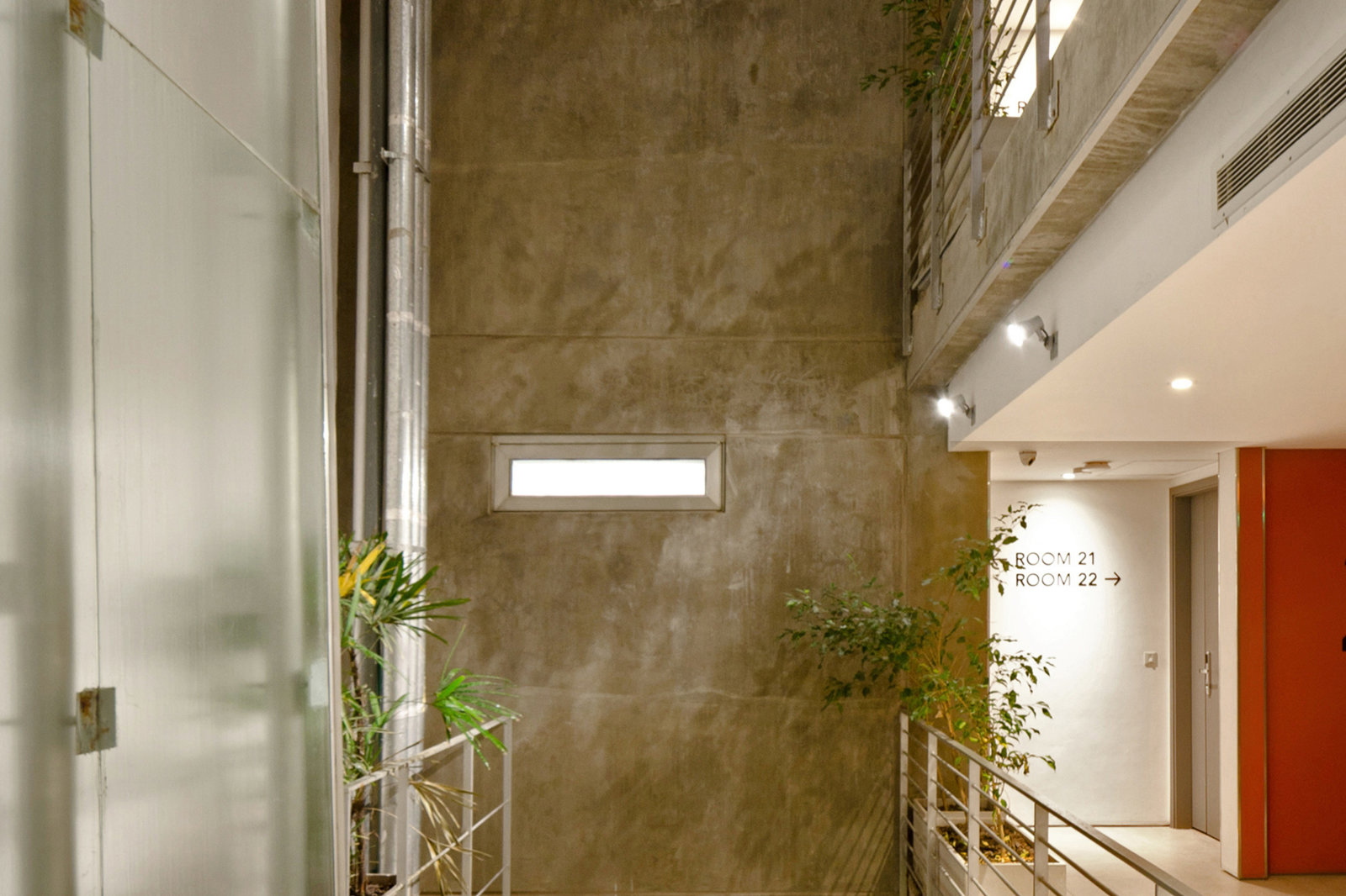 Pasillos de Palo Santo con arquitectura moderna y luz natural