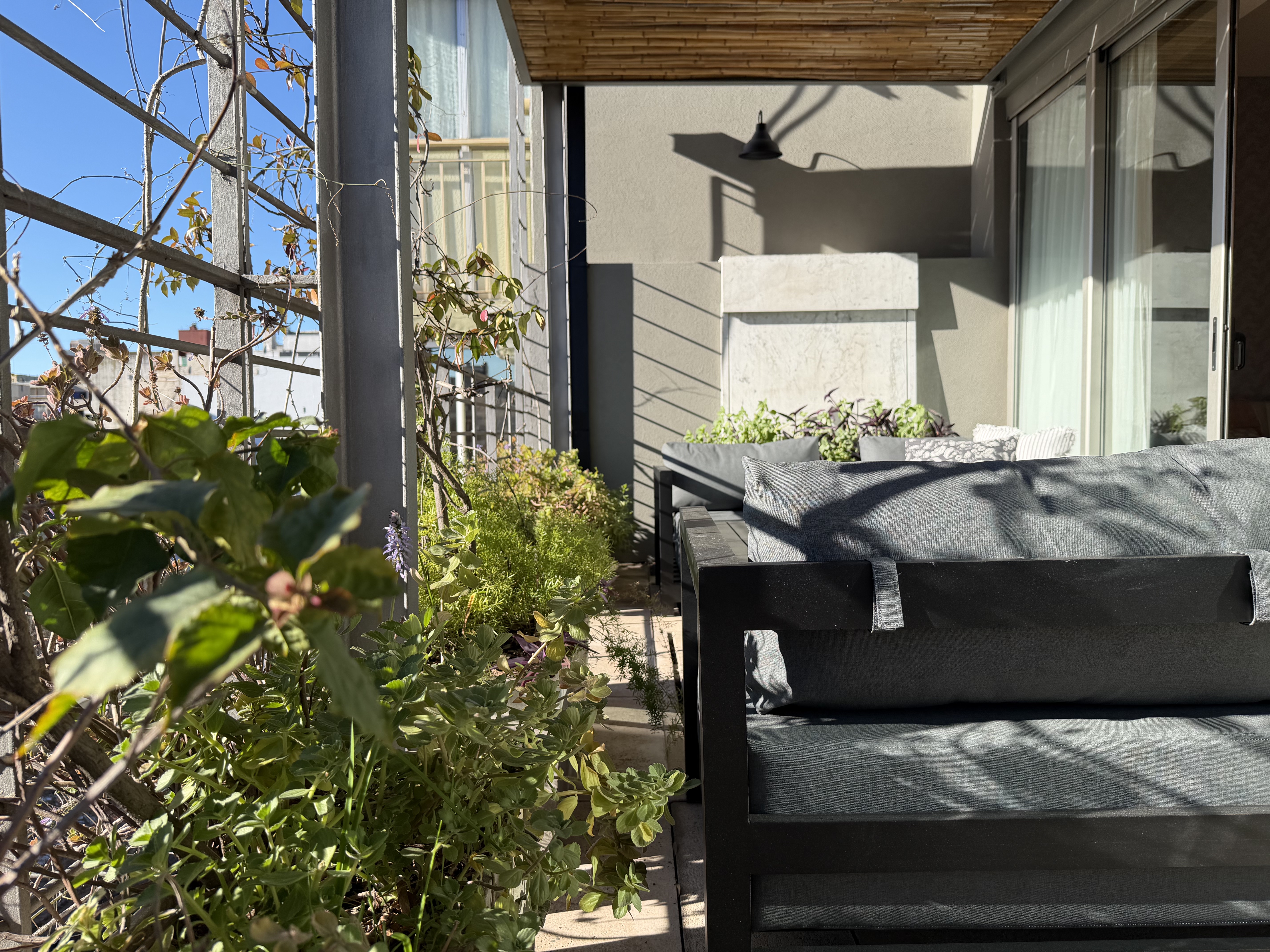 Plantas y sillones bajo la pérgola de la terraza de la Suite Terrace