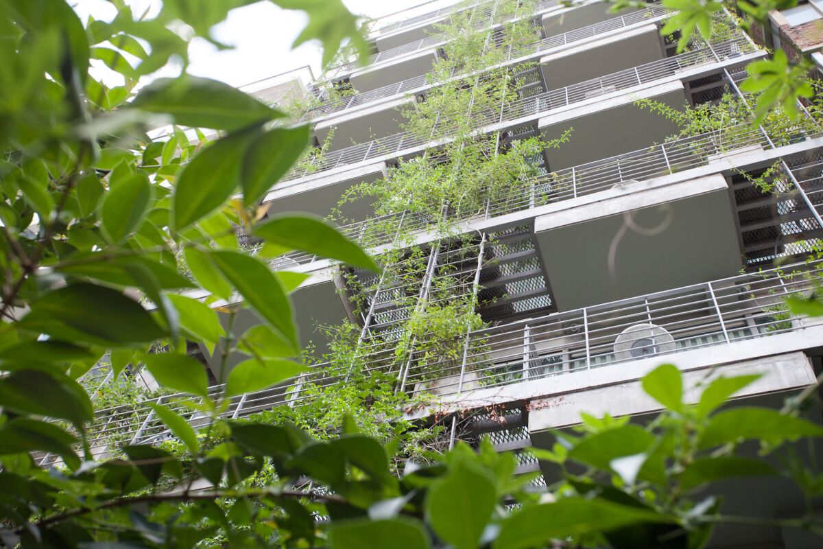 Fachada verde del Hotel Palo Santo